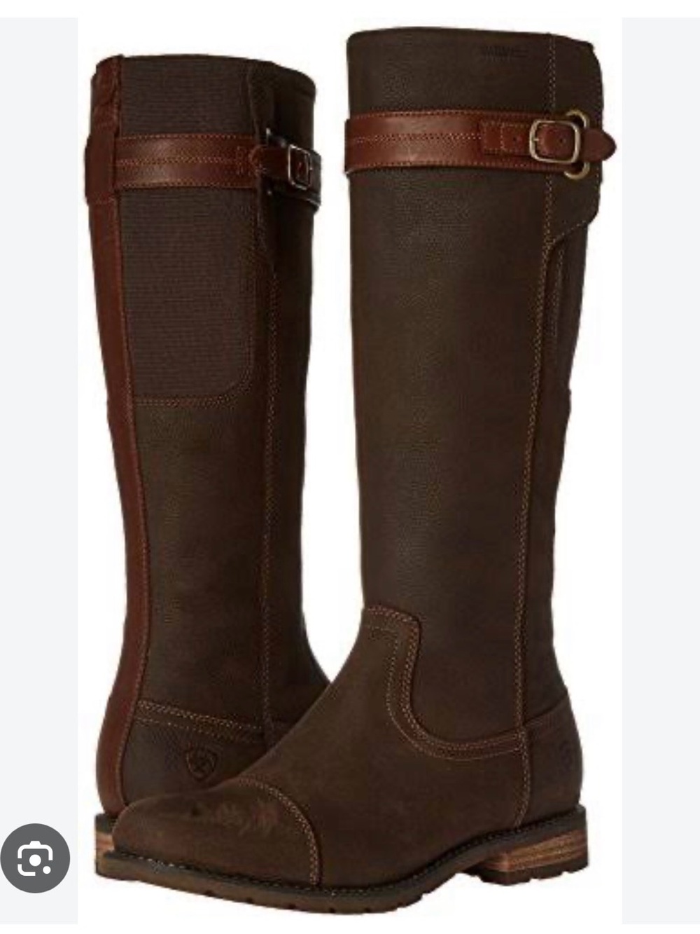 Ariat Women’s Brown Tall Riding Boots with Buckle Detail